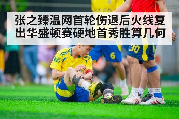 张之臻温网首轮伤退后火线复出华盛顿赛硬地首秀胜算几何