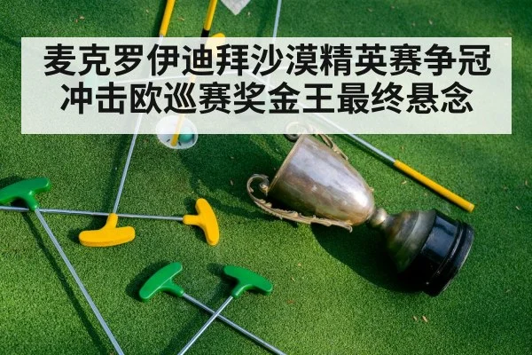麦克罗伊迪拜沙漠精英赛争冠冲击欧巡赛奖金王最终悬念
