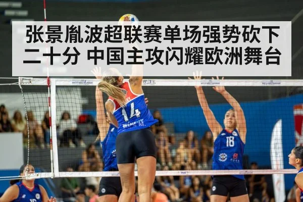 volleyball match action